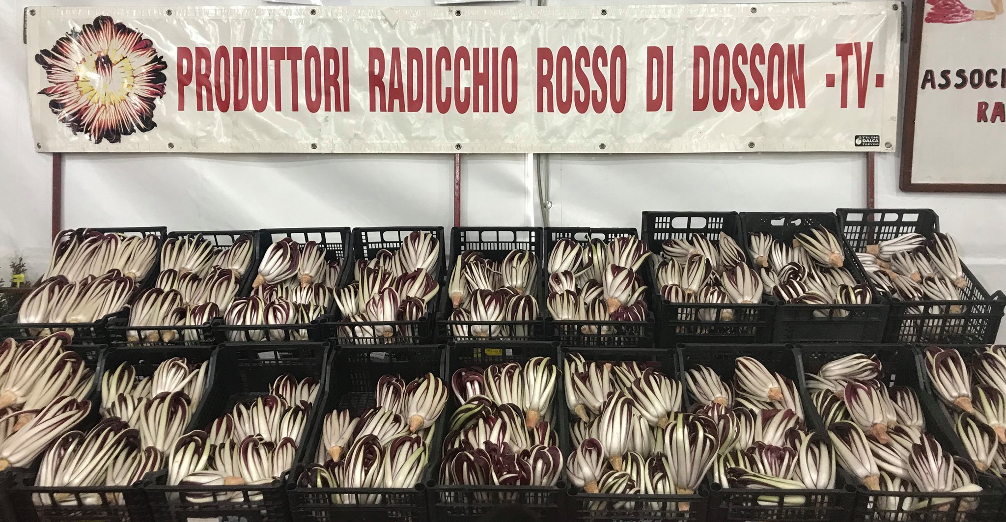 34° Festa del Radicchio Rosso di Treviso