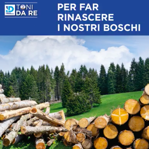 Proposta di risoluzione sull’attuazione di misure volte a rafforzare la filiera bosco-legno e a promuovere una gestione sostenibile delle foreste